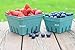 JA Kitchens Quart Green Molded Pulp Fiber Berry/Produce Vented Basket (20 Pieces)
