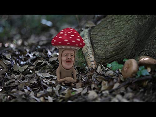 Amazon Co Jp こびと観察入門１を観る Prime Video