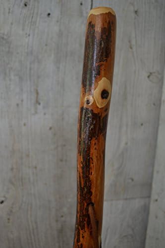 Hickory Walking Stick and Hiking Staff, 54" height, by Creation Carvings