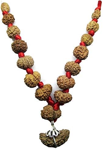 Jewelswonder 100% Original & Natural 1 to 14 Face Combined All Tpye Like Study,Bussiness,etc Mala with JGL Lab Certified
