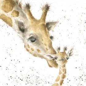 Wrendale Designs - 'First Kiss' Card