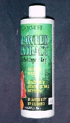 Seaweed Extract