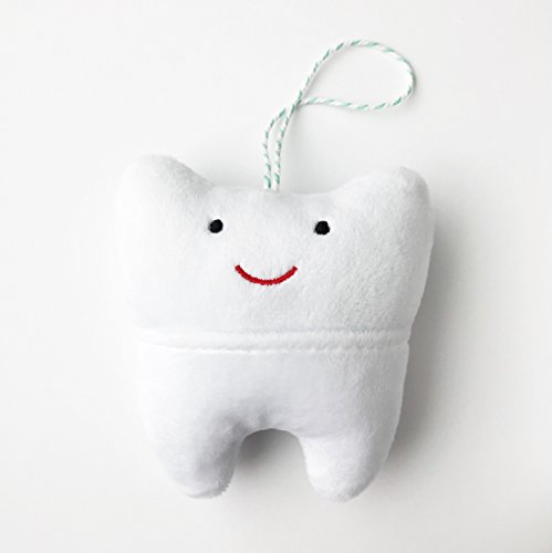 Cairn Co Tooth Fairy Pillow Kit With Keepsake Notepad And Magic