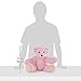 Vermont Teddy Bear Amazon Exclusive Soft Cuddly Bear Stuffed Animals and Teddy, Pink, 15 inches