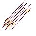 Last Punch 6 Aluminum Metal Arrows 14