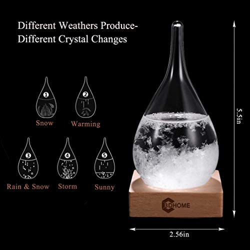 3DHOME Storm Glass Weather Predictor Creative Crystal Glass Bottle