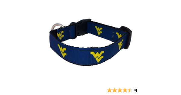 aquarium light fixture