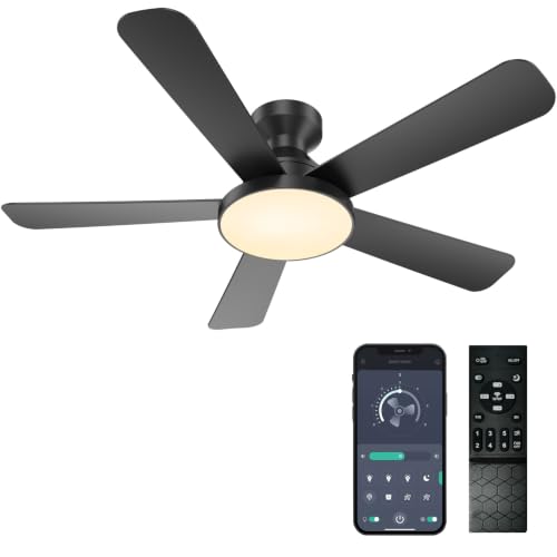Kunywooe 46-Inch Ceiling Fan