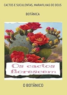 Livro Cactos E Suculentas, Maravilhas De Deus