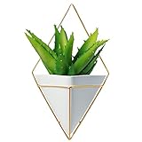 California Home Goods Large Decorative Geometric Hanging Planter Pot for Indoor Wall Decor, Planter for Succulent Plants, Air Plant, Cacti, Faux/Artificial Plants, White Ceramic/Brass