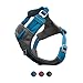 Kurgo Journey Air Dog Harness, Vest Harnesses for Dogs, Pet Hiking Harness for Running & Walking, Reflective, Padded, Includes Control Handle, No Pull Front Clip (Blue, Medium)