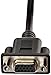 Amazon Basics Dual VGA Monitor Y Splitter Adapter Cable, 1 Foot, Black