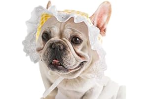 Dog Hat, YAODHAOD Summer Pet Lace Baby Hat Princess Sun Cap, Adjustable Dog Outdoor Sport Sun Protection Visor Sunbonnet Outfit with Ear Holes for Small and Medium Dog (M (Pack of 1), Yellow)