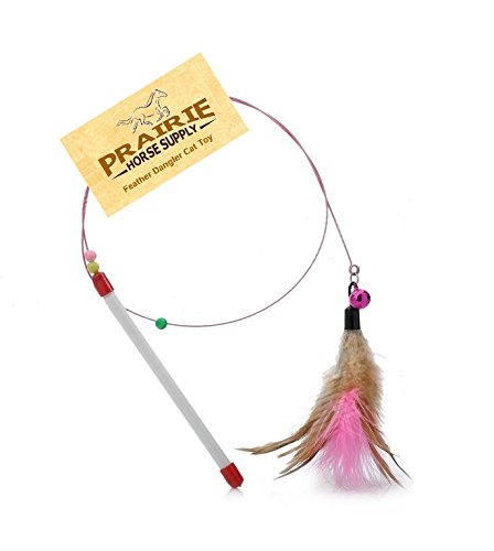 Prairie Horse Supply Cat Wire Dangler Wand Toy with Beads and Feather, Interactive cat teaser, charmer, dancer pole toy