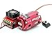 HobbyKing TrackStar Roar Approved 1/10th Stock Class Brushless ESC and Motor Combo (17.5T)