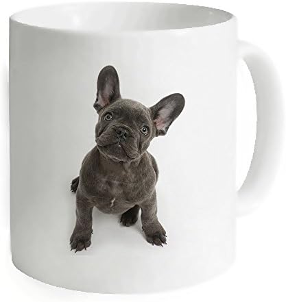 Aihesui French Bulldog Funny 11 Ounce Drinkware Gift Coffee Mug Novelty White Ceramic Tea Cup Nice Gift