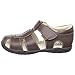 pediped Flex Sydney Sandal (Toddler/Little Kid),Chocolate Brown,24 EU (7.5-8 M US Toddler)
