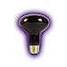 Zilla Incandescent Spot Bulb, for Nocturnal Reptile Species, Night Black