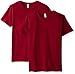 Fruit of the Loom Men's V-Neck T-Shirt (2 Pack)