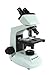 Celestron 44108 1500x Power Professional Biological Microscope
