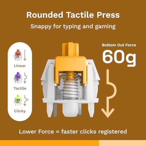 Glorious Gaming Switches Silent Panda (36 Pcs) Pre-Oiled Touch Switches for Gaming and Typing, for MX Mechanical Keyboards with Hot Swap, with 3 Pin Plate