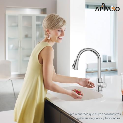 APPASO Mezclador de Fregadero 3 Modos, Grifos para Fregadero de Cocina, Moderno Grifo de Fregadero Monomando, Arco Alto para Cocina, Caravanas, Lavandería y Exteriores, Níquel Cepillado