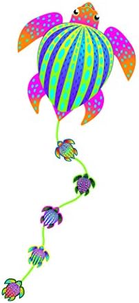 Brainstorm Products LLC 82826 WNS SuperWings Turtle 45