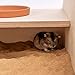 andwe Large Hamster Sand Bath Box Wooden Bathroom for Hamsters Mice Lemmings Gerbils and Others Critters