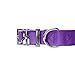 Downtown Pet Supply Deluxe Dog Collar - Padded Adjustable Dog Collar with Metal Buckle & D-Ring - Machine Washable & Water Resistant Thick Dog Collar - Purple - L - Large Dog Collar