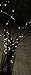 Fairy Lights Battery Operated - Non Blinking- 9ft 8in - Set of 1, Warm White
