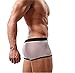 HP95(TM) Men's Bikini Underwear, Low Waist Mesh Transparent Sexy Boxers Bulge Comfy Shorts Underpants Underwear (XL, C)