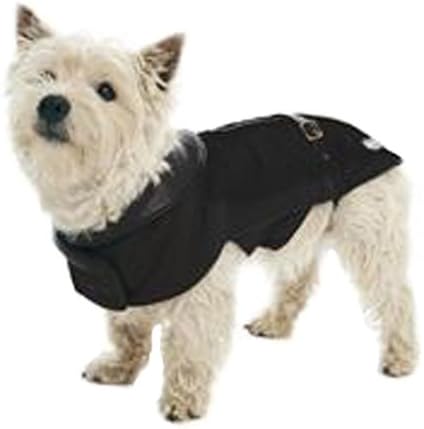 what kind of dog did teddy roosevelt have