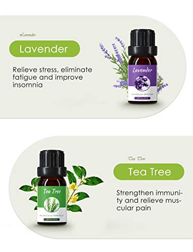Homasy Aromatherapy Essential Oil Set, 100% Pure Essential Oils Gift Set, Top 6 Natural Essential Fragrance Oil Set for Diffuser, 10ML(Tea Tree, Peppermint, Lavender, Eucalyptus, Lemon Grass, Orange)