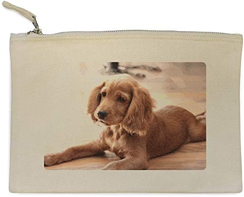 cocker spaniel shoes