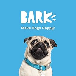 Barkbox Squeaker Ball Toys, Interactive Tennis