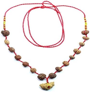 Jewelswonder 100% Original & Natural 1 to 14 Face Combined All Tpye Like Study,Bussiness,etc Mala with JGL Lab Certified