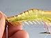 3X 10cm 6g Soft Shrimp Prawn Worm Bait Lure Saltwater Squid Night Glow Fishing Rigs Glow Bead by thkfish