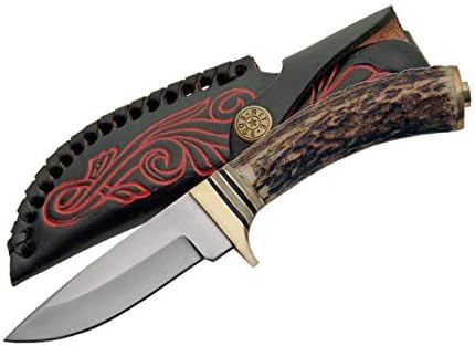 Steel Stag Szco Supplies White Tail Skinning Knife