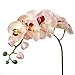 1 Piece Simulation Butterfly Orchid Artificial Flower Plant Home Decoration