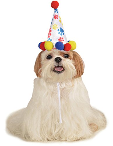 Red Blue Birthday Boy Paw Prints Clown Hat For Pet Dog