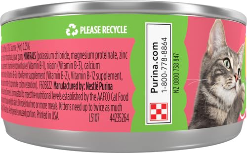 FRISKIES CLASSIC PATE SALMON DINNER, 5.5 OZ