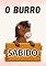 Livro O burro sabido (Bichos animados)