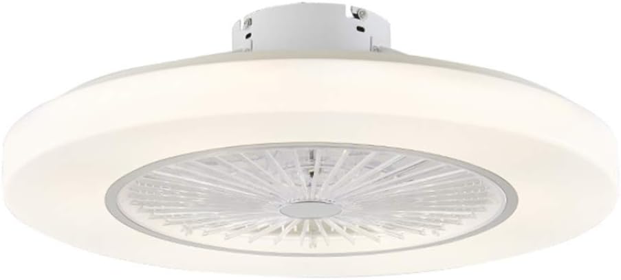 Fan Ceiling Light Creative Modern LED Dimmable Ceiling Light Ceiling Fan with Lighting and Remote Control Nursery Bedroom Living Room Lighting Bedroom Lamp Office Restaurant Lighting 58cm,White