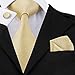 Hi-Tie Light Yellow Silk Tie for Men with Pocket Square and Cufflinks Set for Wedding