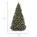 Best Choice Products 6ft Pre-Lit Spruce Hinged Artificial Christmas Tree w/ 250 UL-Certified Incandescent Warm White Lights, Foldable Stand
