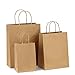 BagDream Kraft Paper Bags 5x3x8& 8x4.25x10& 10x5x13 25 Pcs Each, Gift Bags, Kraft Bags,Shopping Bags with Handles, Paper Shopping Bags, Craft Bags, Merchandise Bags, 100% Recyclable Paper primary
