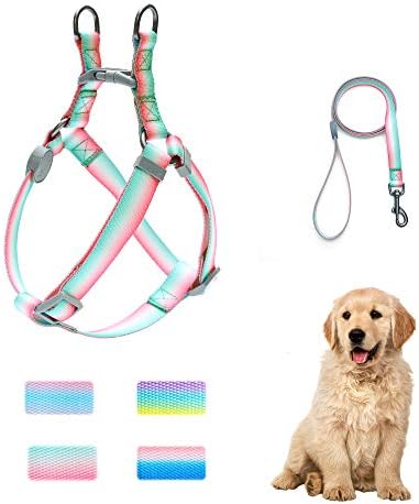 keezeg Dog Harness, Basic Halter Vest Harness, Adjustable Soft Strap Harness-M-GD FR