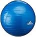 Black Mountain Products Exercise Stability Yoga Ball, Foot Pump, Ball Plug, Plug Puller, 2000 Lbs Static Weight Capacity Antiburst