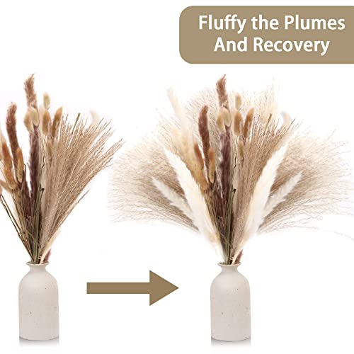 DomeStar Pampas Grass, 130PCS Dried Pampas Grass Bunny Tail Grass Reed Boho Decor for Wedding Home Wall Vase