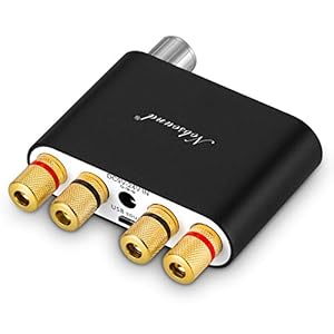 Nobsound NS-10G Mini Bluetooth 5.0 digitale stereo versterker 100W HiFi Power Amp met voeding (Zwart)